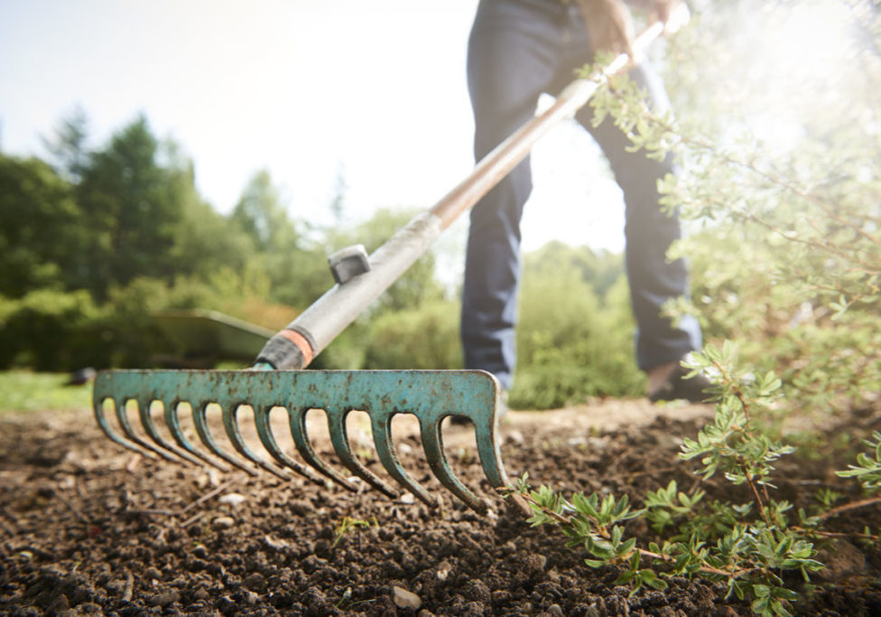 Gardening
